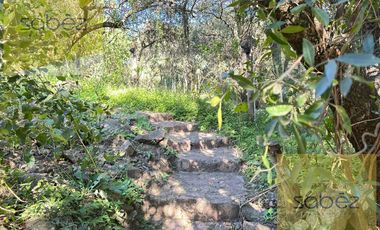 Casa en Venta y Alquiler