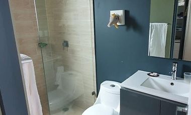 RENTO PENTHOUSE AMUEBLADO , COLONIA JUAREZ