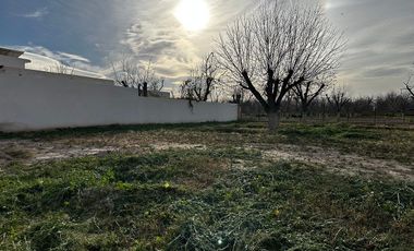 Terreno Habitacional, ubicado en La Barranca, Torreón, Coahuila.