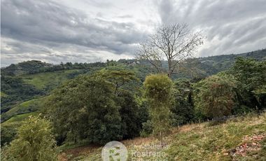 Finca en arriendo, El Arenillo, Manizales
