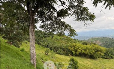 Finca en arriendo, El Arenillo, Manizales
