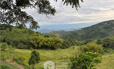 Finca en arriendo, El Arenillo, Manizales