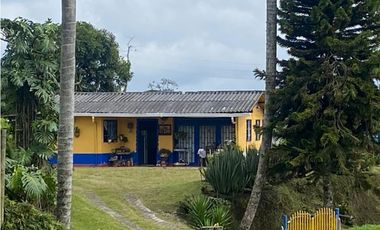 Finca en arriendo con Amplios Espacios y Kiosco en Filandia - Quindio