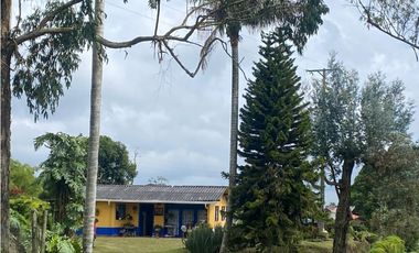 Finca en arriendo con Amplios Espacios y Kiosco en Filandia - Quindio