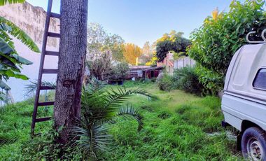 Venta 2 locales con renta en Lote 480m2  Banfield