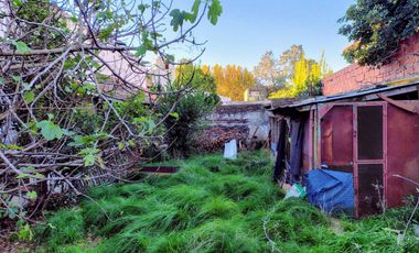 Venta 2 locales con renta en Lote 480m2  Banfield