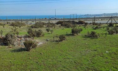 Parcela en venta  en LOS VILOS