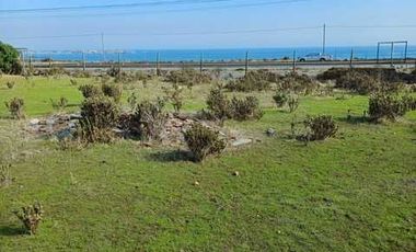 Parcela en venta  en LOS VILOS