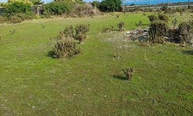 Parcela en venta  en LOS VILOS