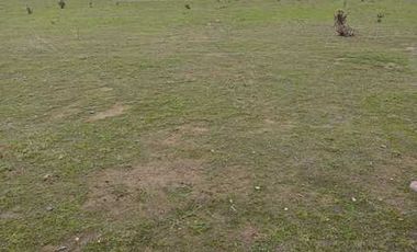 Parcela en venta  en LOS VILOS