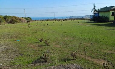 Parcela en venta  en LOS VILOS