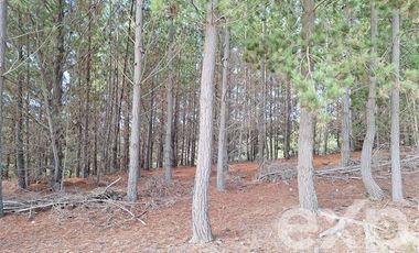 Agrícola en Venta en Vende sitio L44-5 vista amplia Alto Colorado Pichilemu