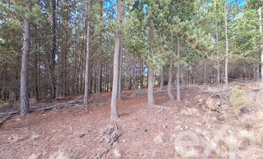 Agrícola en Venta en Vende sitio L44-5 vista amplia Alto Colorado Pichilemu