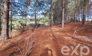 Agrícola en Venta en Vende sitio L44-5 vista amplia Alto Colorado Pichilemu