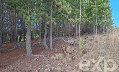 Agrícola en Venta en Vende sitio L44-5 vista amplia Alto Colorado Pichilemu