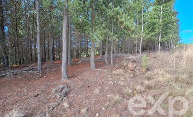 Agrícola en Venta en Vende sitio L44-5 vista amplia Alto Colorado Pichilemu