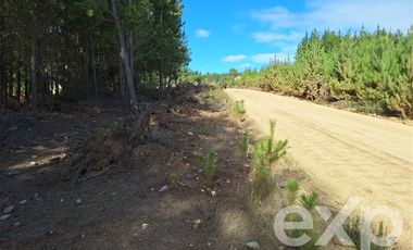 Agrícola en Venta en Vende sitio L44-5 vista amplia Alto Colorado Pichilemu