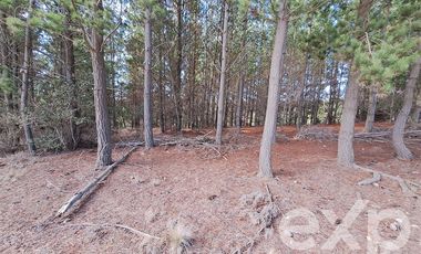 Agrícola en Venta en Vende sitio L44-5 vista amplia Alto Colorado Pichilemu