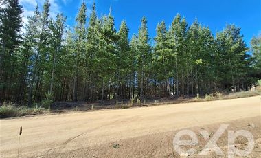 Agrícola en Venta en Vende sitio L44-5 vista amplia Alto Colorado Pichilemu
