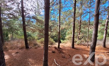 Agrícola en Venta en Vende sitio L44-5 vista amplia Alto Colorado Pichilemu
