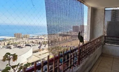 VENTA DEPARTAMENTO 3 DORMITORIOS IQUIQUE