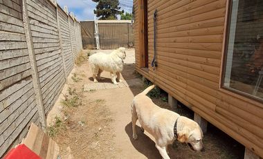 VENTA CASA 2HAB 1BA EL TABO