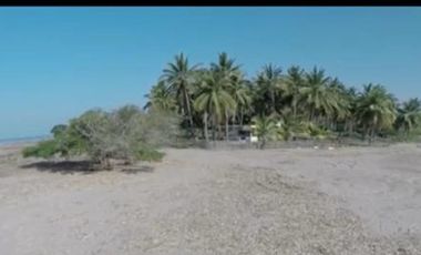 Lote La Puntilla San Blas