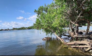 Lote en Venta Isla del Rey en San Blas Nayarit, Oportunidad de Inversión