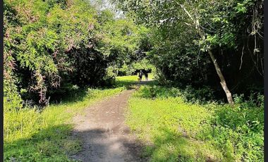Lote en Venta Isla del Rey en San Blas Nayarit, Oportunidad de Inversión