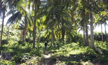 Lote en Venta Isla del Rey en San Blas Nayarit, Oportunidad de Inversión