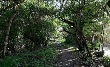 Lote en Venta Isla del Rey en San Blas Nayarit, Oportunidad de Inversión