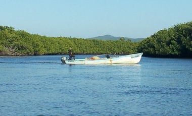 Lote en Venta Isla del Rey en San Blas Nayarit, Oportunidad de Inversión