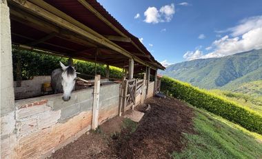 VENTA FINCA VENECIA, SUROESTE ANTIOQUEÑO