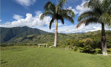 VENTA FINCA VENECIA, SUROESTE ANTIOQUEÑO