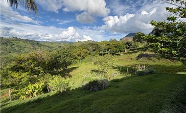 VENTA FINCA VENECIA, SUROESTE ANTIOQUEÑO