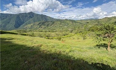 VENTA FINCA VENECIA, SUROESTE ANTIOQUEÑO