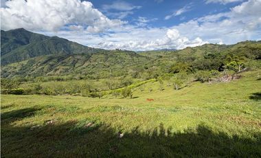 VENTA FINCA VENECIA, SUROESTE ANTIOQUEÑO
