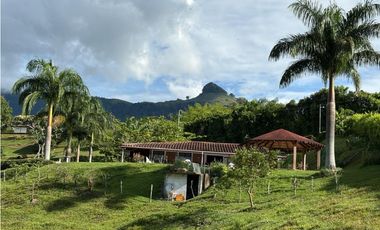 VENTA FINCA VENECIA, SUROESTE ANTIOQUEÑO
