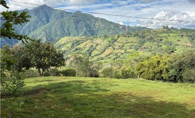VENTA FINCA VENECIA, SUROESTE ANTIOQUEÑO