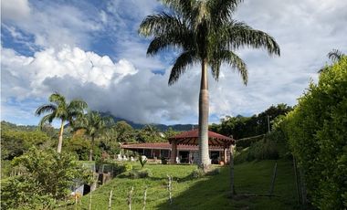 VENTA FINCA VENECIA, SUROESTE ANTIOQUEÑO