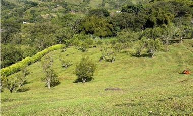 VENTA FINCA VENECIA, SUROESTE ANTIOQUEÑO