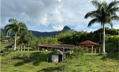 VENTA FINCA VENECIA, SUROESTE ANTIOQUEÑO