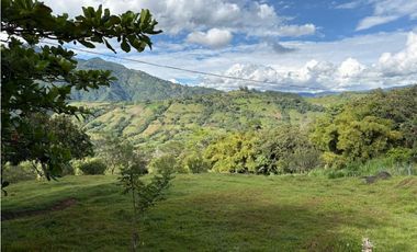 VENTA FINCA VENECIA, SUROESTE ANTIOQUEÑO