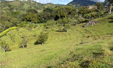VENTA FINCA VENECIA, SUROESTE ANTIOQUEÑO