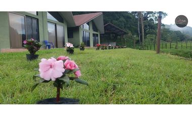 Rento Cabañas a Corto y Largo Plazo/Short & Long Term Cabins For Rent
