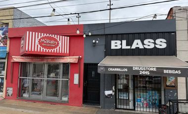 CASA + DOS LOCALES EN VENTA SOBRE AV. BLAS PARERA