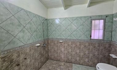 ALQUILER DE LOCAL COMERCIAL - PLOTTIER CENTRO