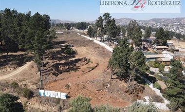 Parcela en Venta en Terrenos en Hacienda de Reñaca Alto, sector Lajarilla
