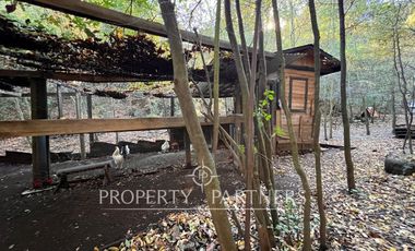 Exclusiva Casa en Vilches con Entorno Natural Privilegiado