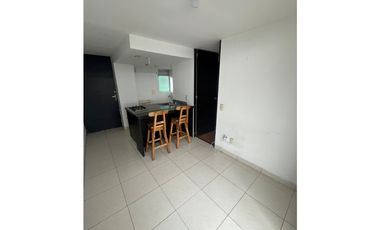 Apartaestudio en arriendo sector Av 19 Norte